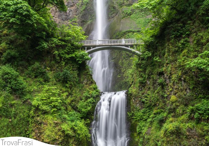 60 Splendide Frasi sulla Bellezza della Natura - TrovaFrasi