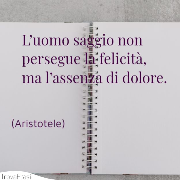 L’uomo saggio non persegue la felicità, ma l’assenza di dolore.