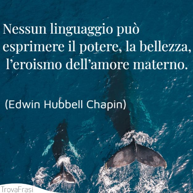 Nessun linguaggio può esprimere il potere, la bellezza, l’eroismo dell’amore materno.