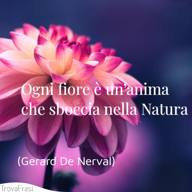 60 Splendide Frasi sulla Bellezza della Natura - TrovaFrasi