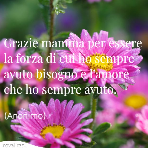 Grazie mamma per essere la forza di cui ho sempre avuto bisogno e l’amore che ho sempre avuto.