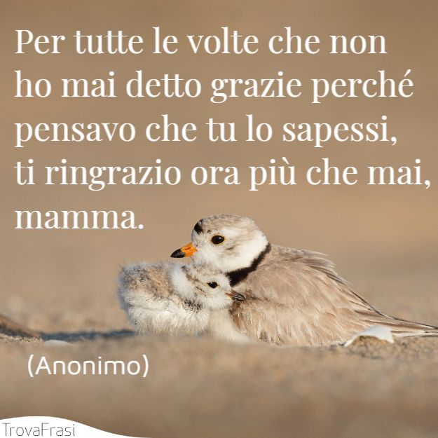 Per tutte le volte che non ho mai detto grazie perché pensavo che tu lo sapessi, ti ringrazio ora più che mai, mamma.