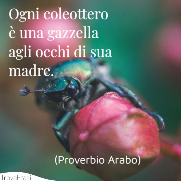 Ogni coleottero è una gazzella agli occhi di sua madre.