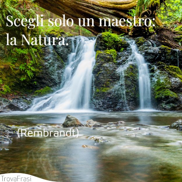 Scegli solo un maestro: la Natura