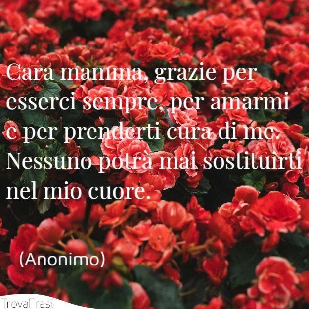 Cara mamma, grazie per esserci sempre, per amarmi e per prenderti cura di me. Nessuno potrà mai sostituirti nel mio cuore.