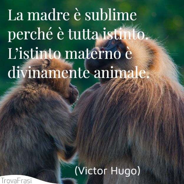 La madre è sublime perché è tutta istinto. L’istinto materno è divinamente animale.