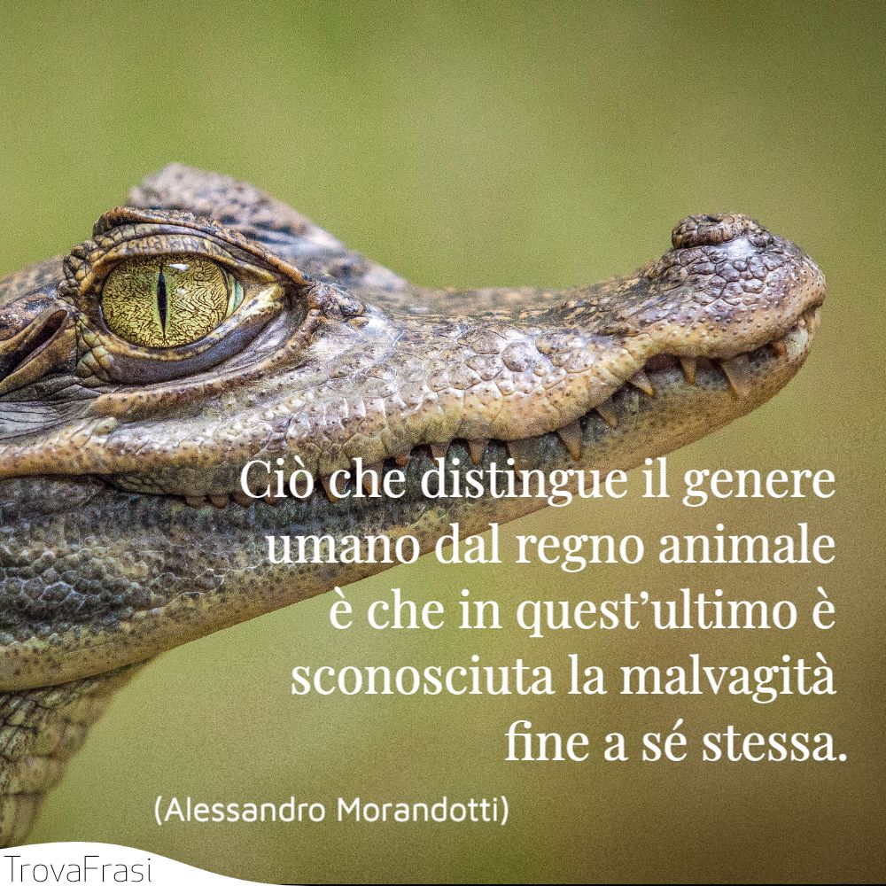 Ciò che distingue il genere umano dal regno animale è che in quest’ultimo è sconosciuta la malvagità fine a sé stessa.