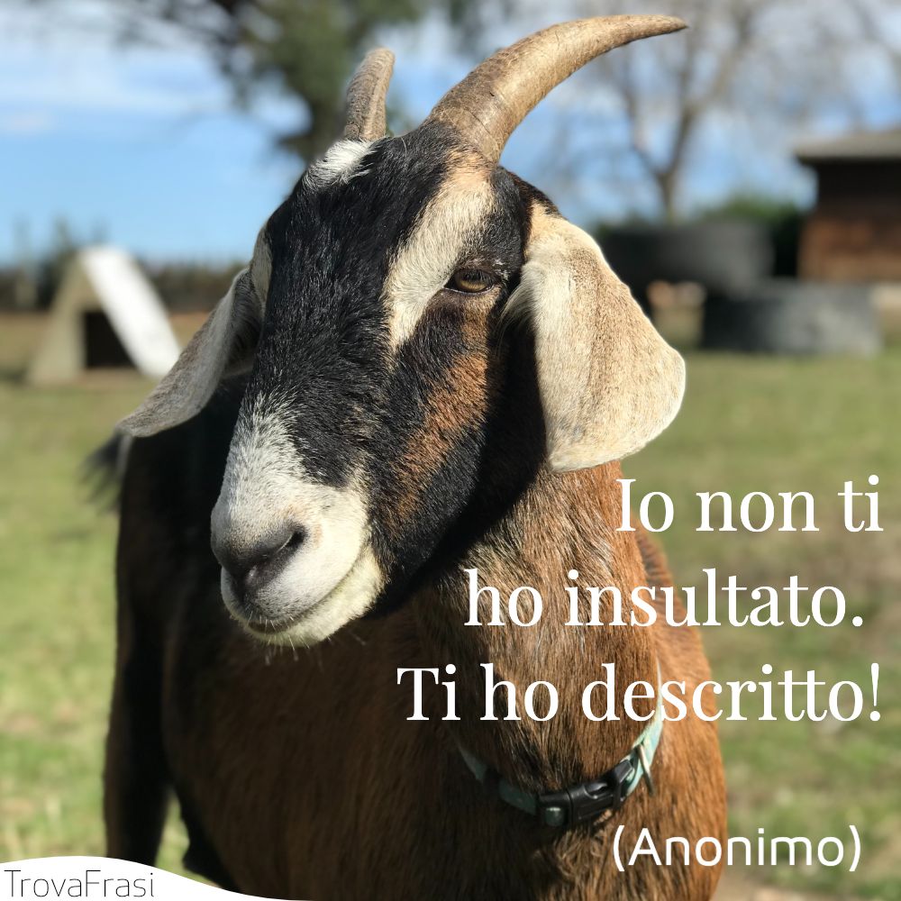 Io non ti ho insultato. Ti ho descritto!