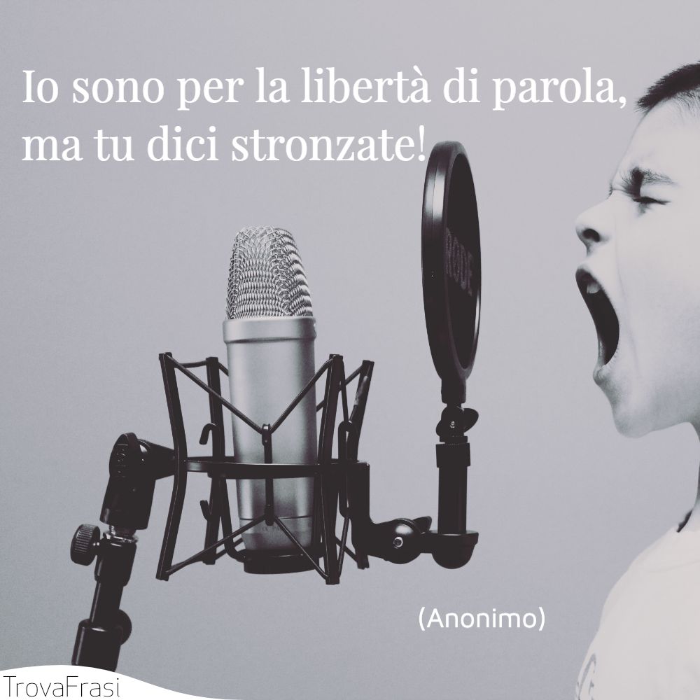 Io sono per la libertà di parola, ma tu dici stronzate!