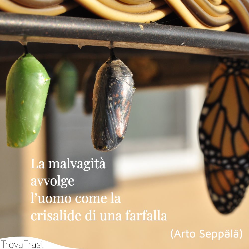 La malvagità avvolge l’uomo come la crisalide di una farfalla