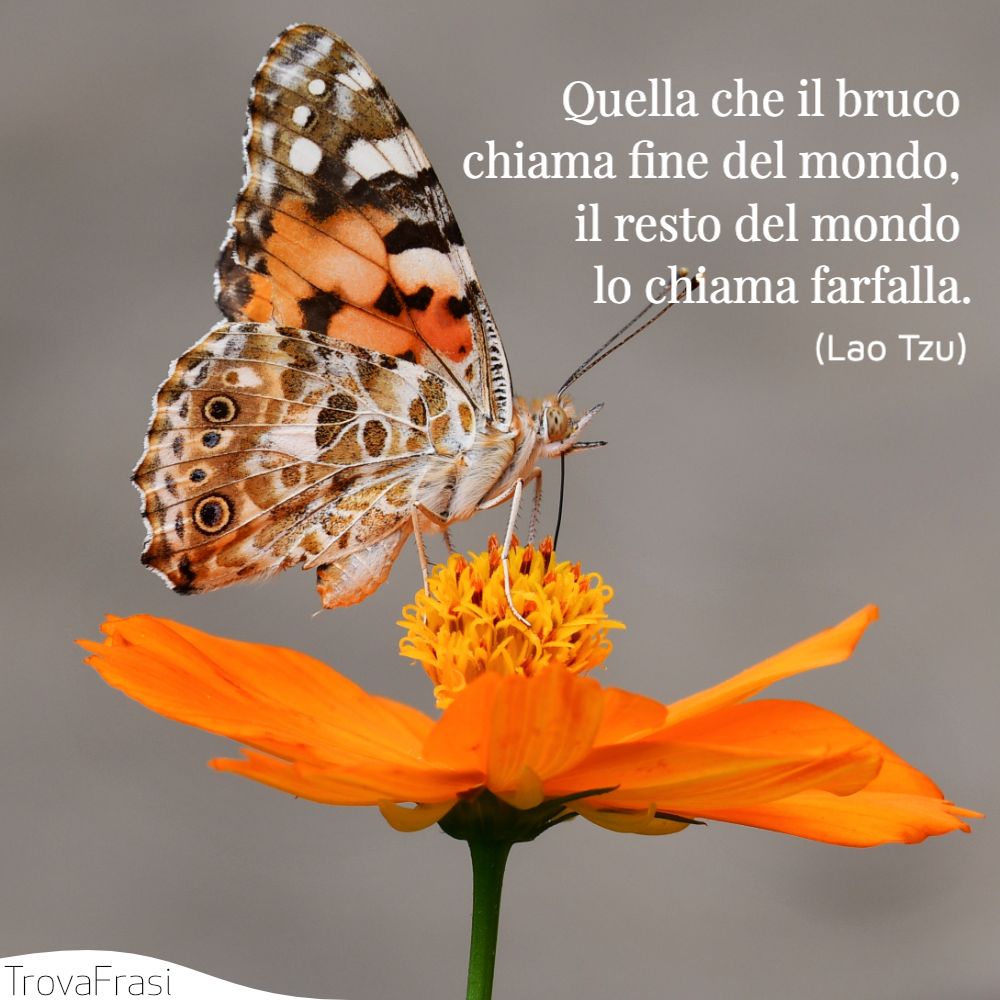 Quella che il bruco chiama fine del mondo, il resto del mondo lo chiama farfalla.