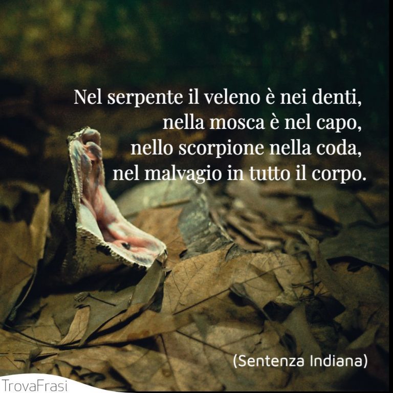 Io Non Sono Cattivo Ho Solo Un Lato Oscuro