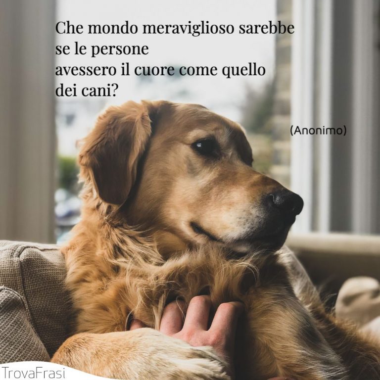 Frasi Per Un Cane Che Non C è Più