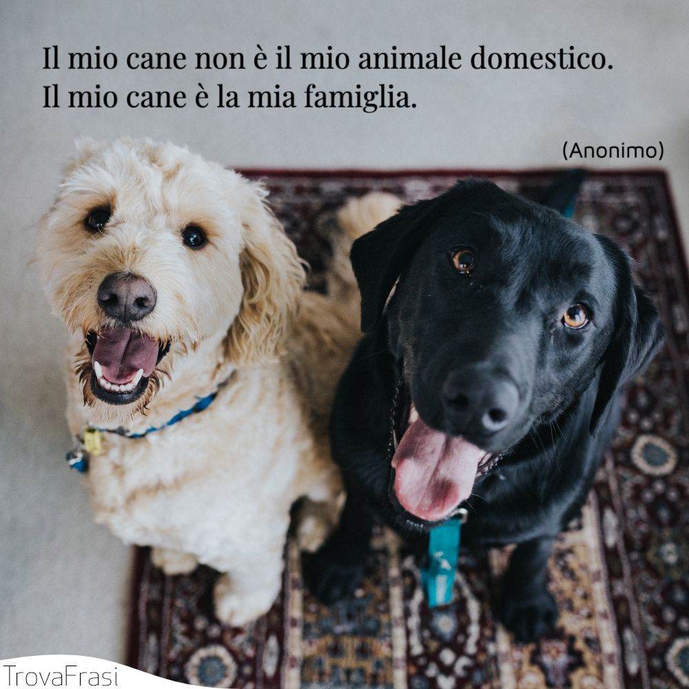 Le Frasi Sui Cani Per I Nostri Amici A Quattro Zampe Trovafrasi