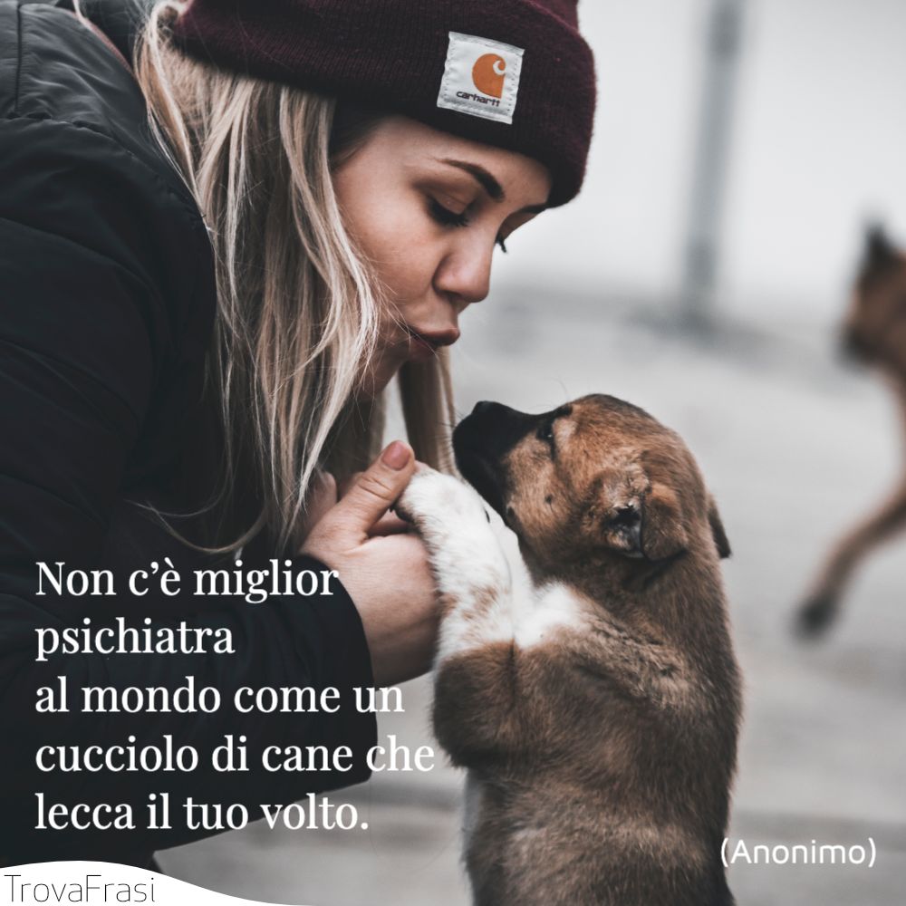 Le Frasi Sui Cani Per I Nostri Amici A Quattro Zampe Trovafrasi