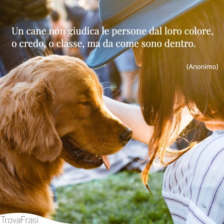 Frasi Per Un Cane Che Non C è Più