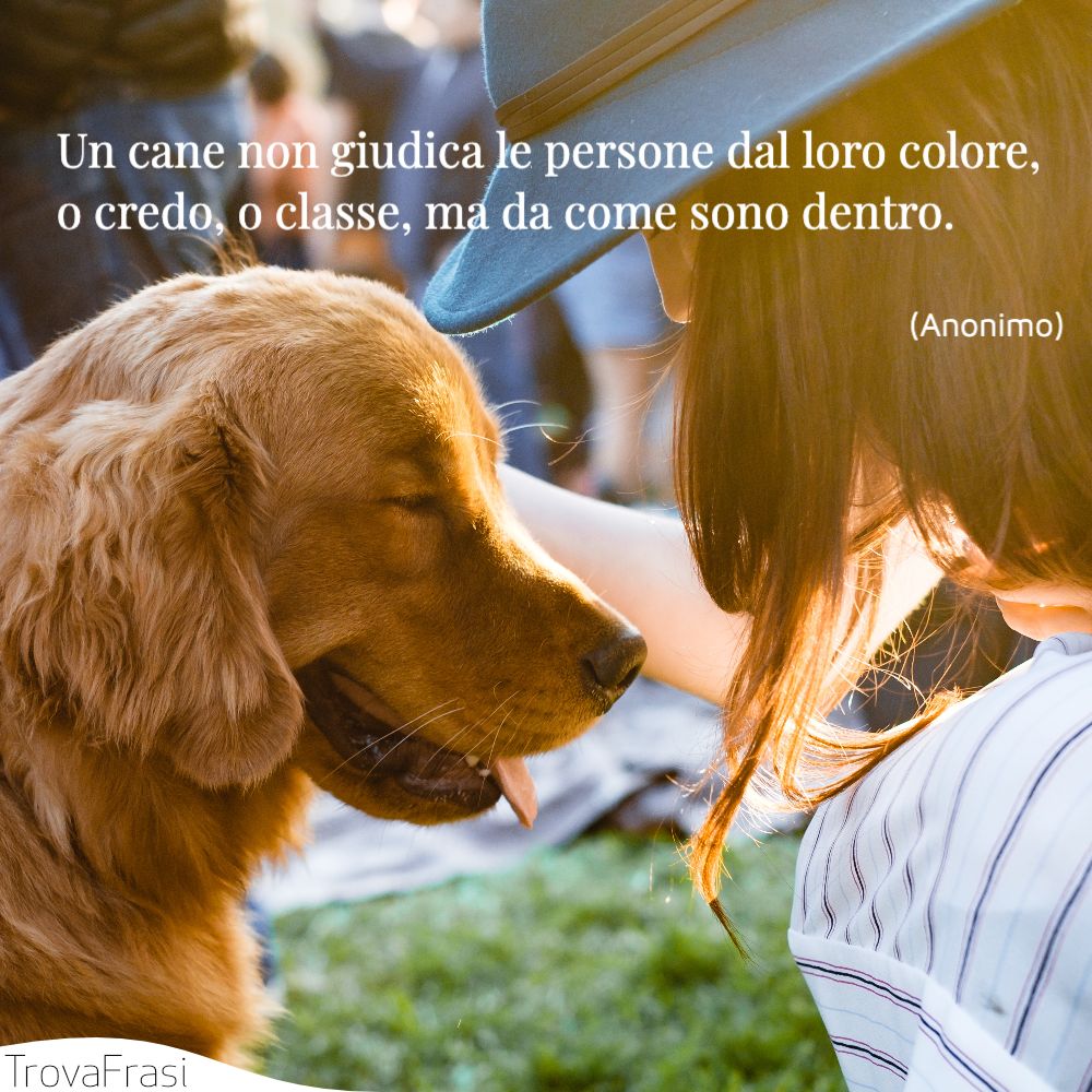 Un cane non giudica le persone dal loro colore, o credo, o classe, ma da come sono dentro.