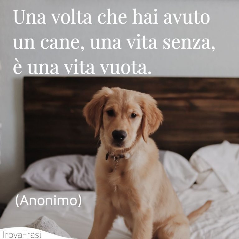 Meglio La Zampa Di Un Cane Frasi
