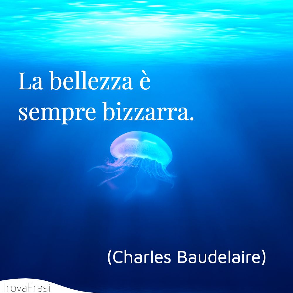 La bellezza è sempre bizzarra.