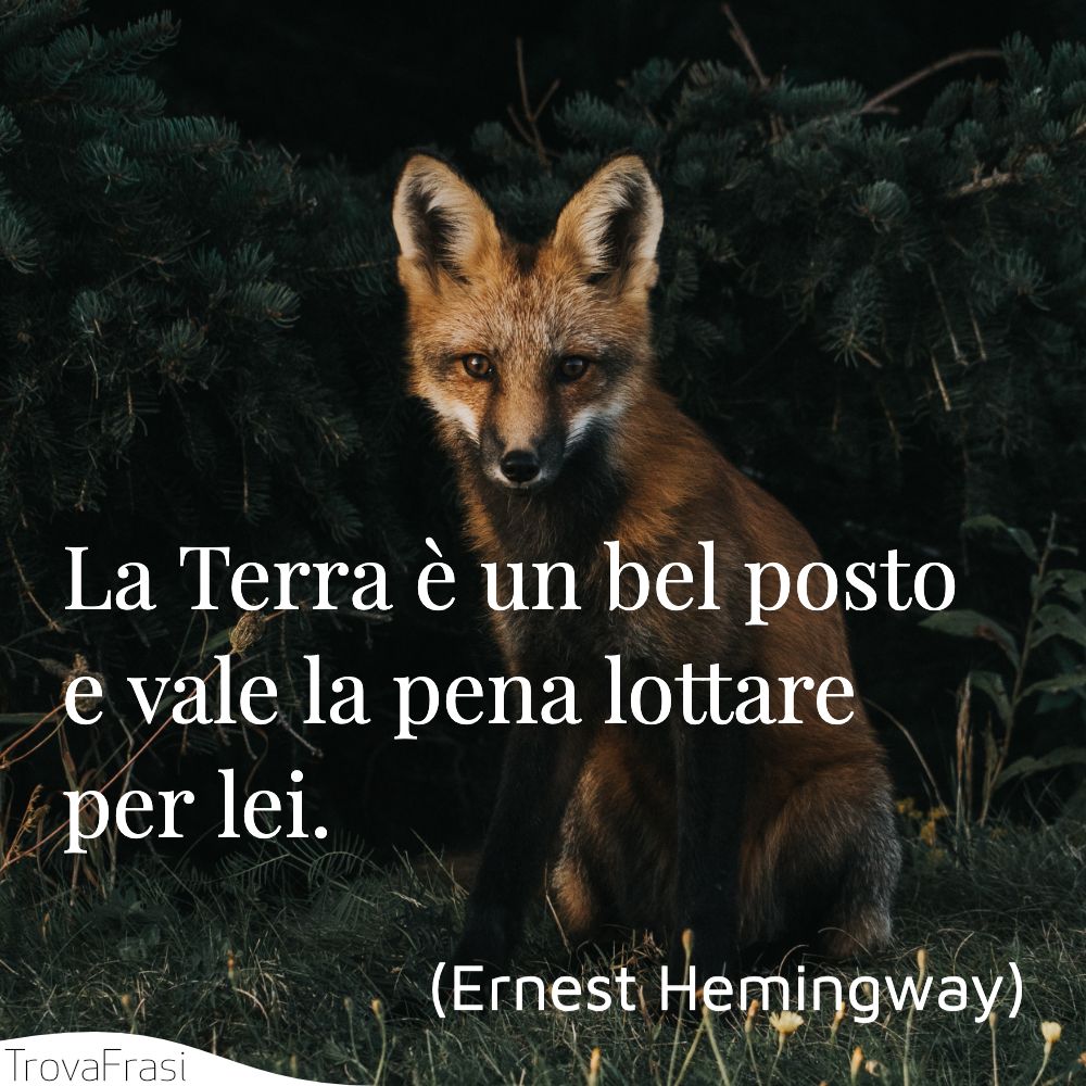 La Terra è un bel posto e vale la pena lottare per lei.