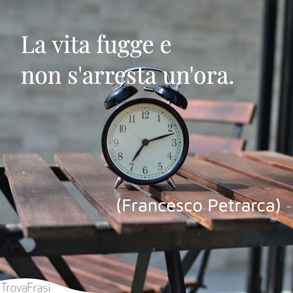 Frasi sulla vita e il sentirsi vivi TrovaFrasi