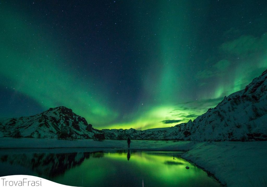 Frasi sulla bellezza