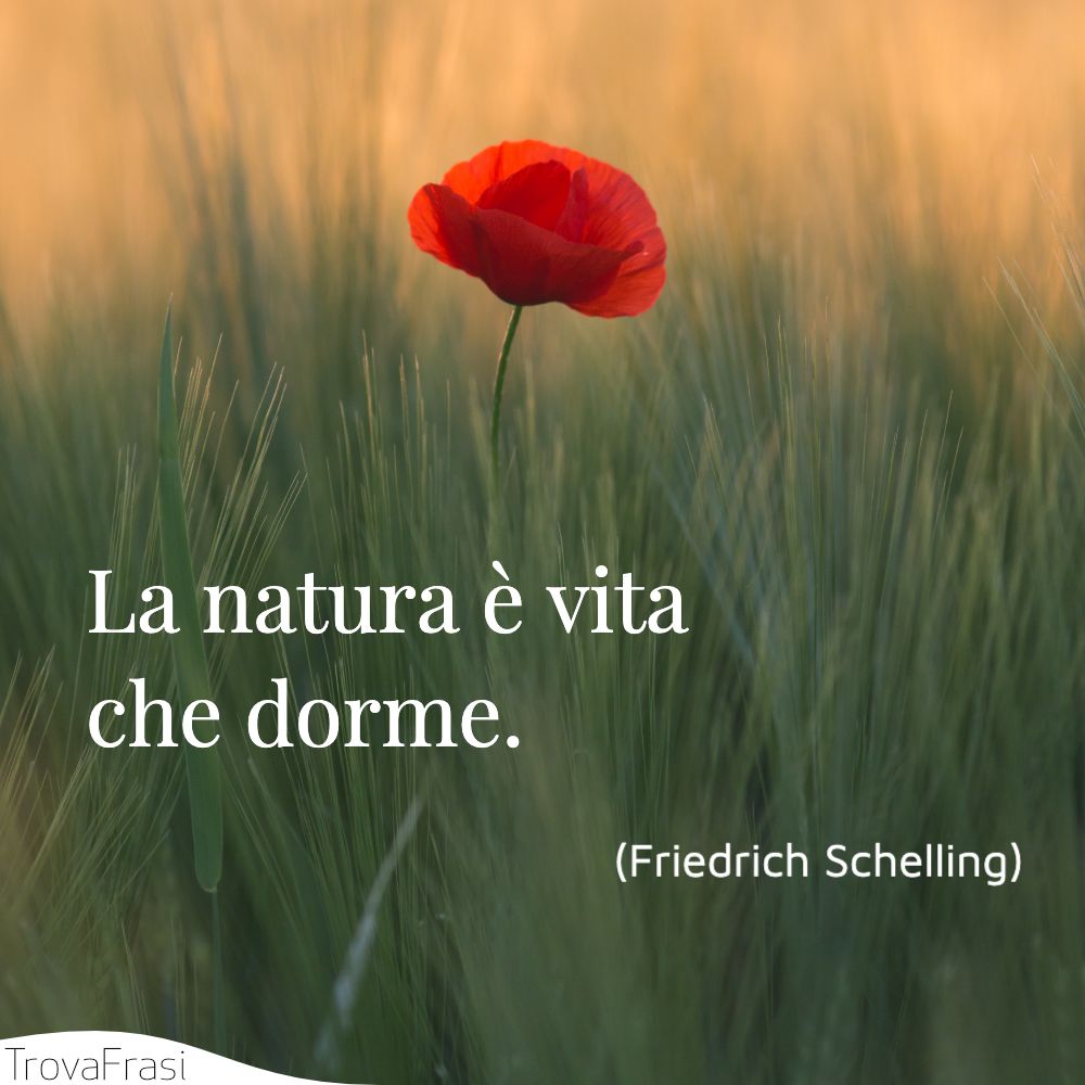 La natura è vita che dorme.