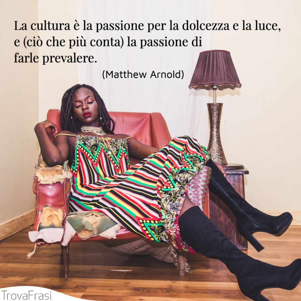 La cultura è la passione per la dolcezza e la luce, e (ciò che più conta) la passione di farle prevalere.