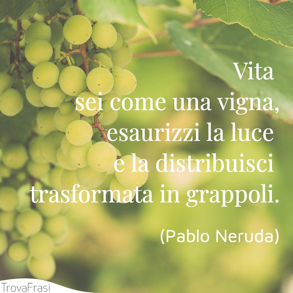 Vita  | sei come una vigna, | tesaurizzi la luce  | e la distribuisci  | trasformata in grappoli.