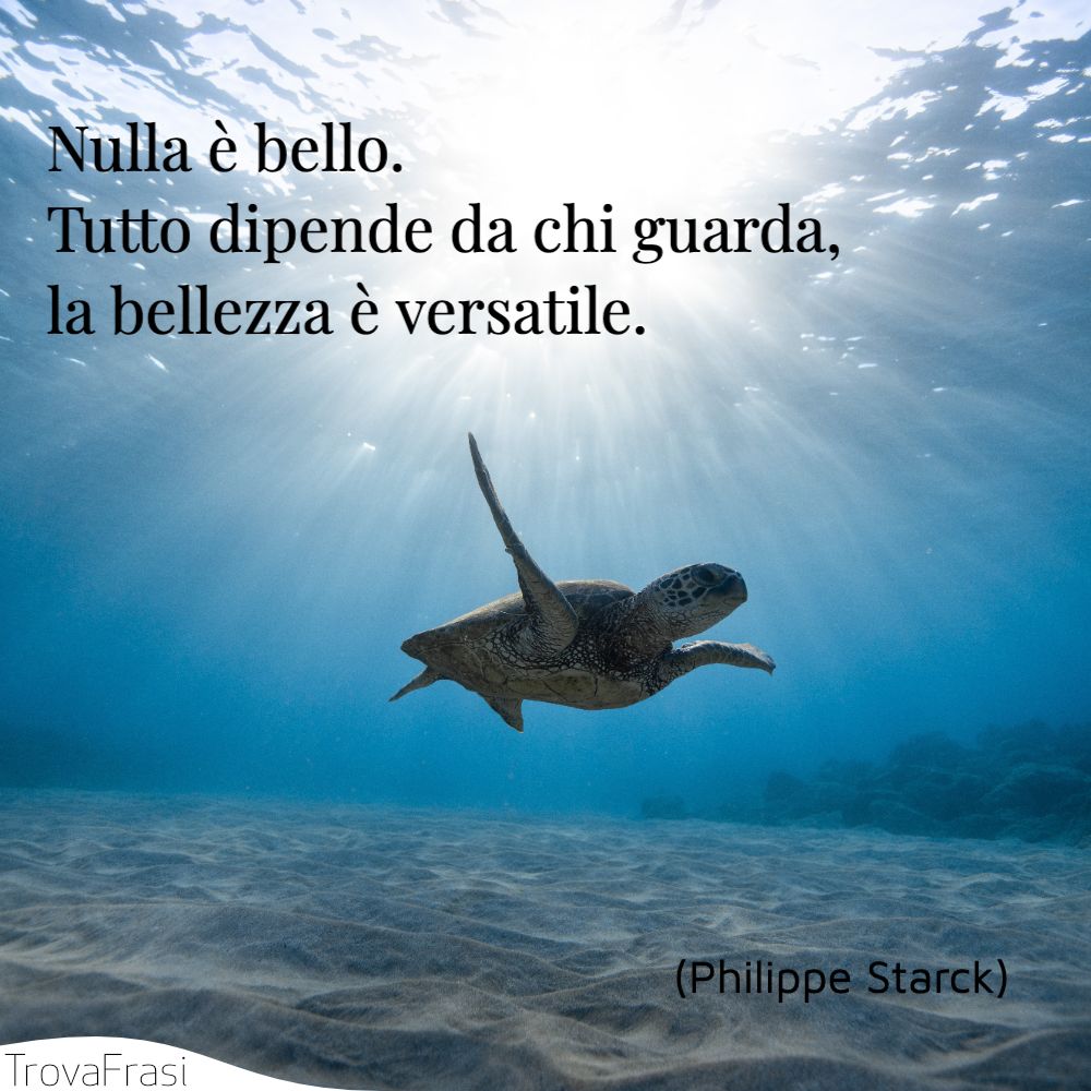 Nulla è bello. Tutto dipende da chi guarda, la bellezza è versatile.