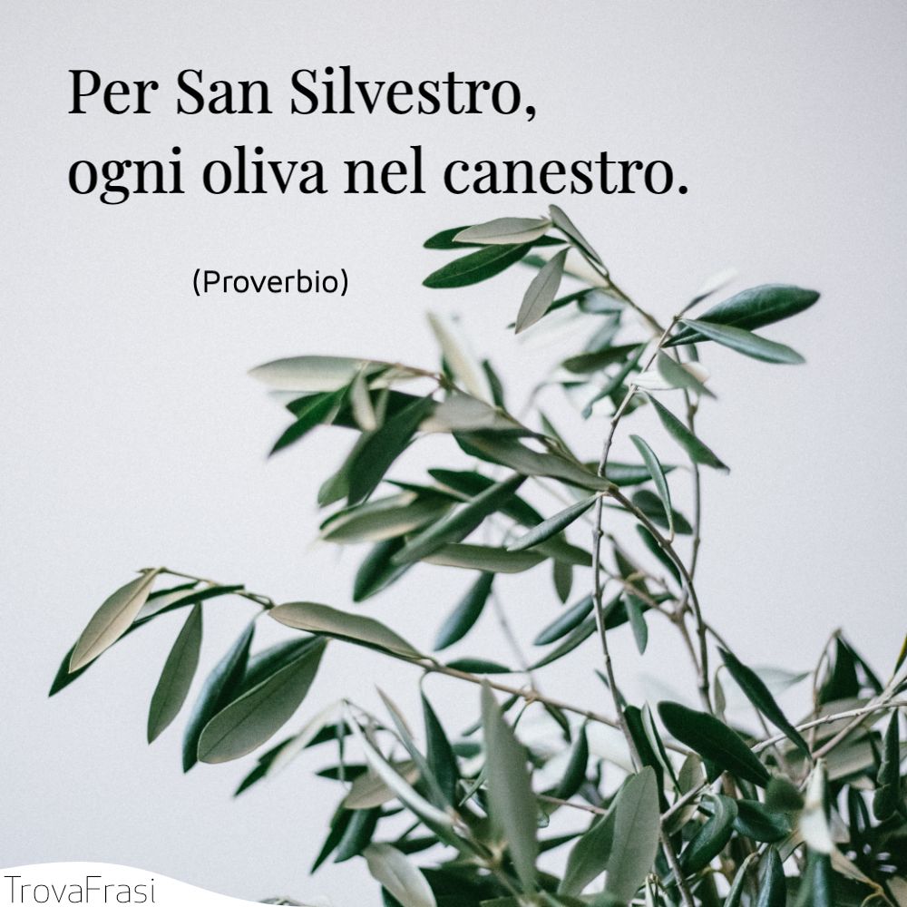 Per San Silvestro, ogni oliva nel canestro. 