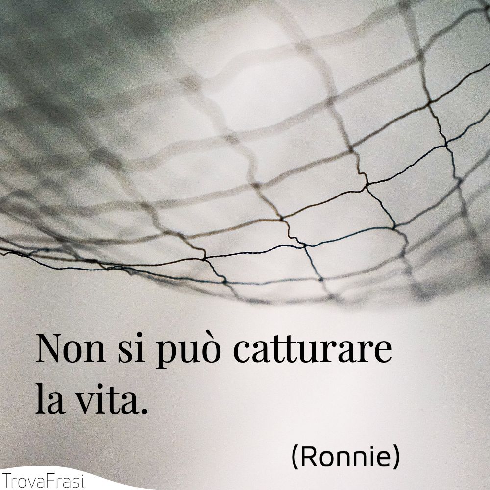Non si può catturare la vita.