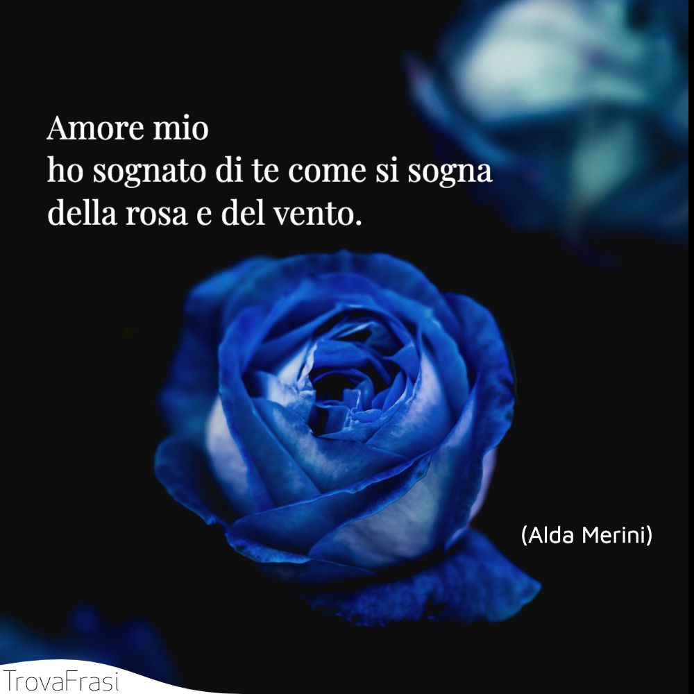 Amore mio / ho sognato di te come si sogna / della rosa e del vento.