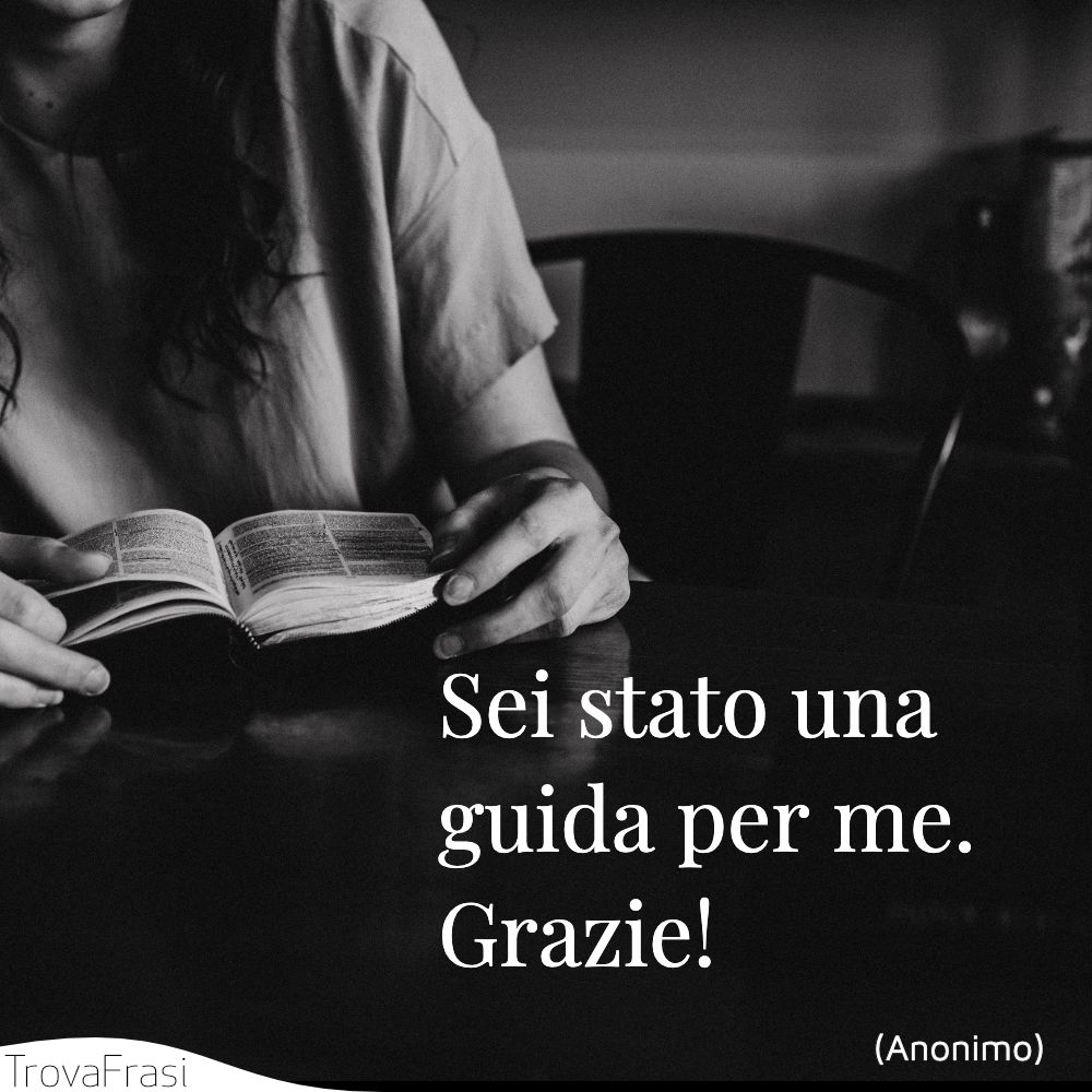 Sei stato una guida per me. Grazie!
