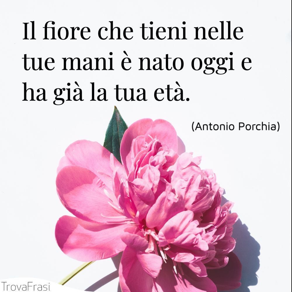 Il fiore che tieni nelle tue mani è nato oggi e ha già la tua età.