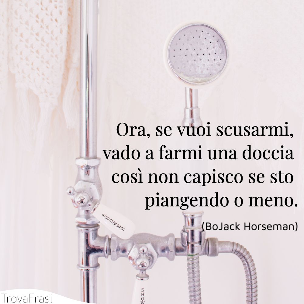 Ora, se vuoi scusarmi, vado a farmi una doccia così non capisco se sto piangendo o meno.