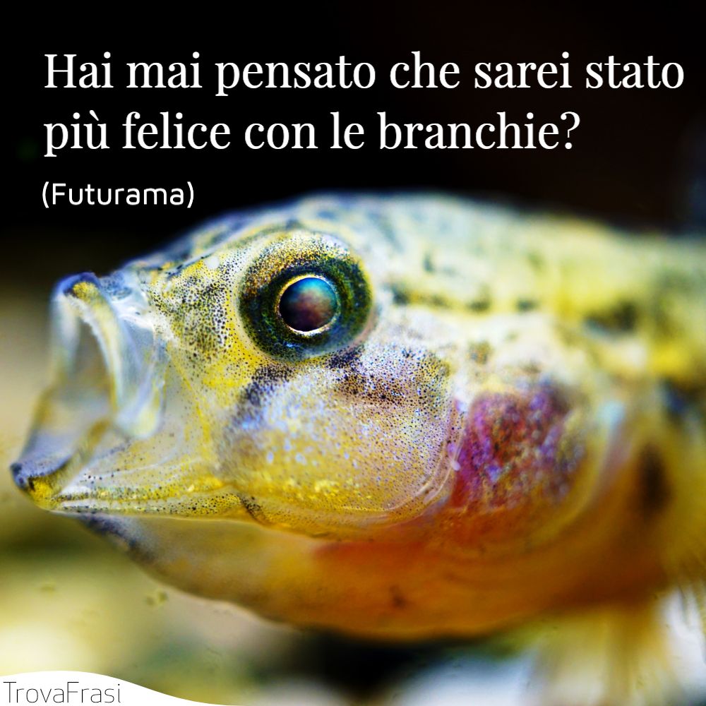 Hai mai pensato che sarei stato più felice con le branchie?