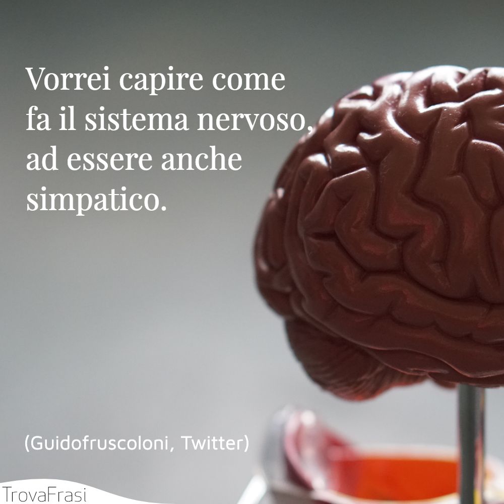 Vorrei capire come fa il sistema nervoso, ad essere anche simpatico.