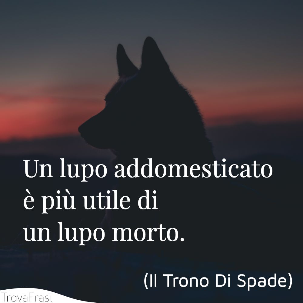 Un lupo addomesticato è più utile di un lupo morto.