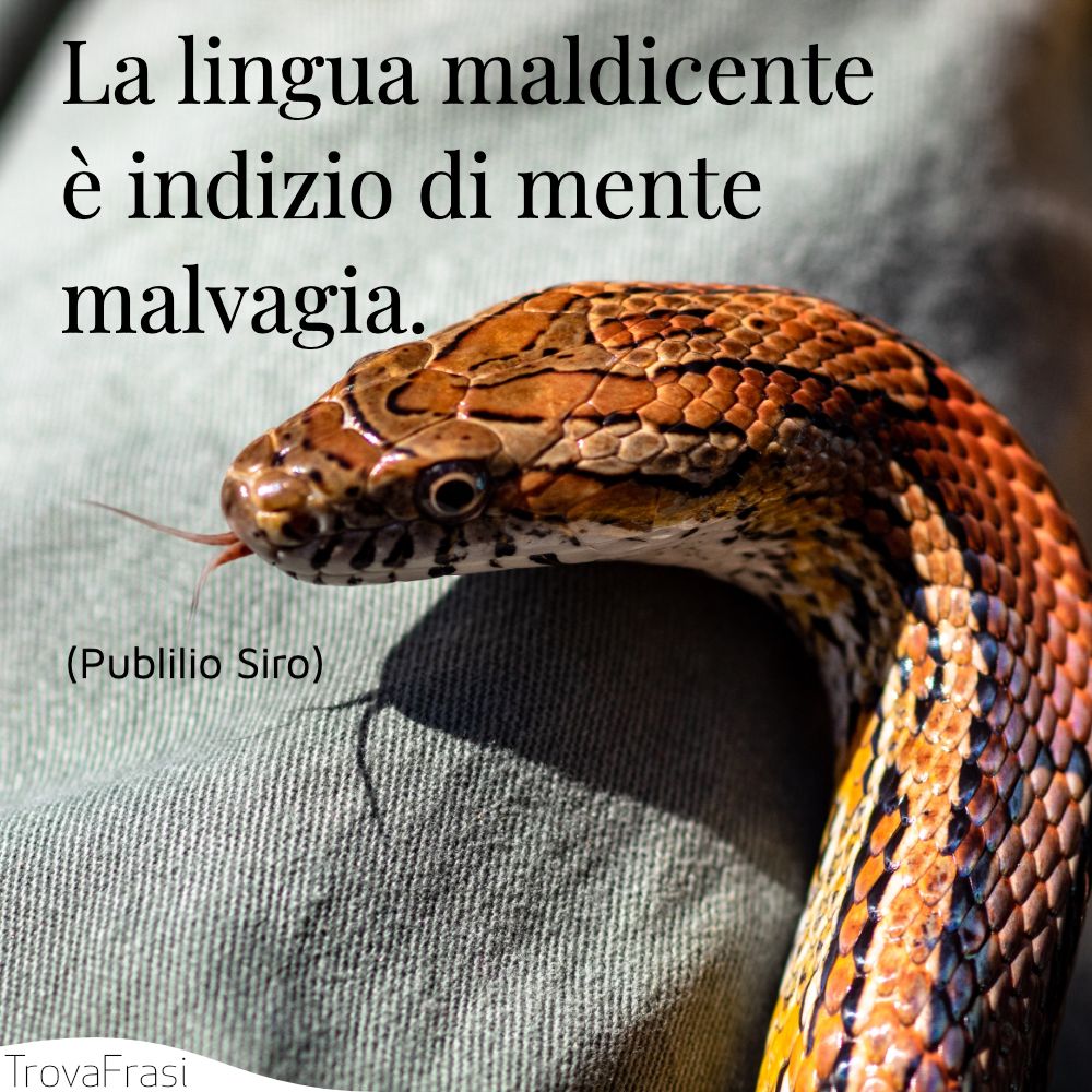 La lingua maldicente è indizio di mente malvagia.