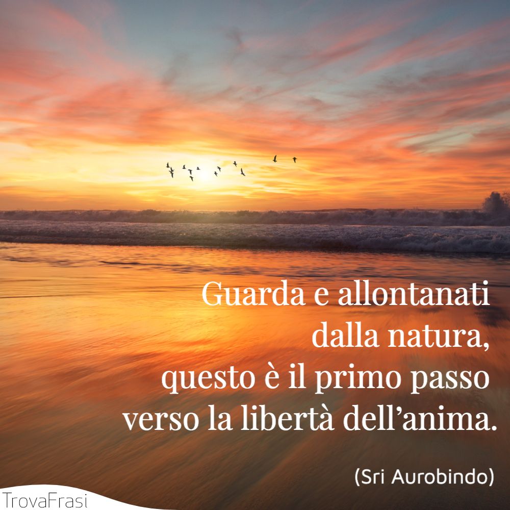 Guarda e allontanati dalla natura, questo è il primo passo verso la libertà dell’anima.