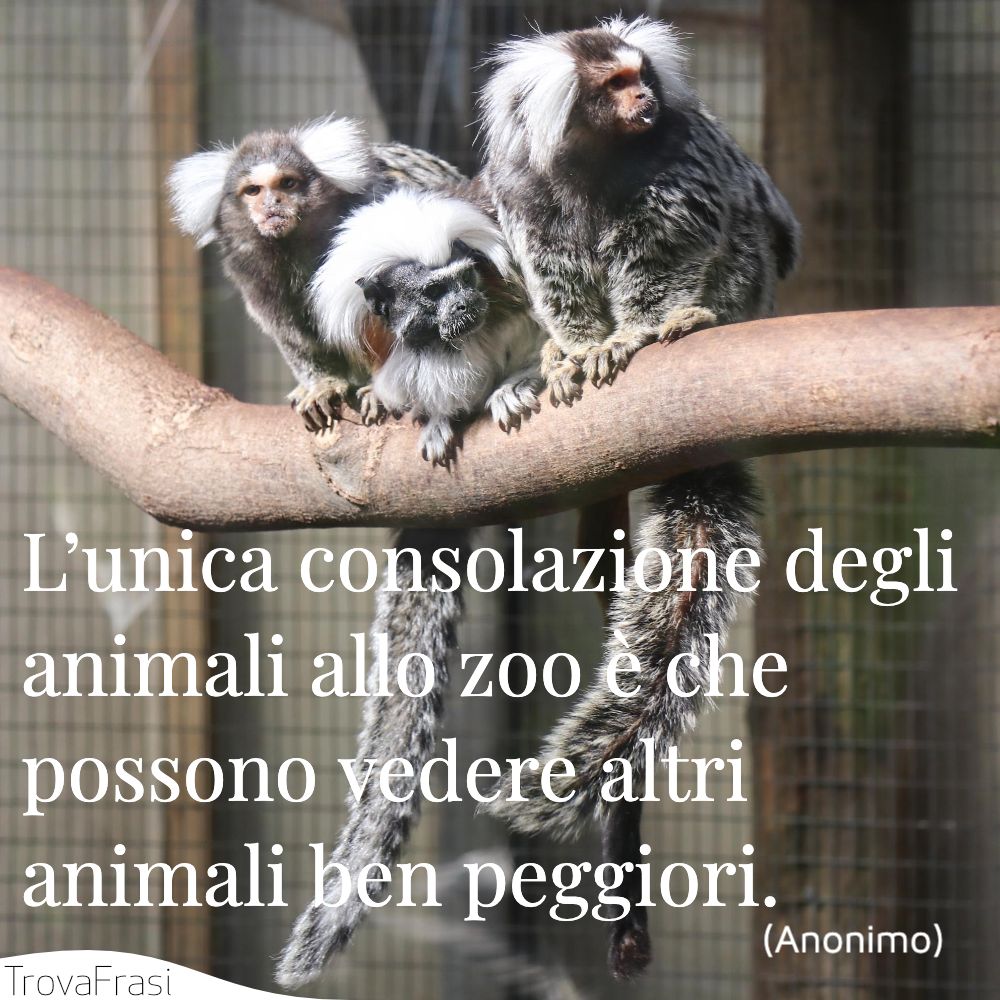 L’unica consolazione degli animali allo zoo è che possono vedere altri animali ben peggiori.