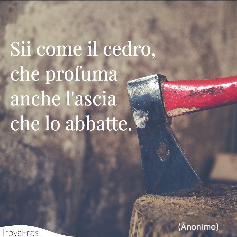Sii come il cedro, che profuma anche l'ascia che lo abbatte.