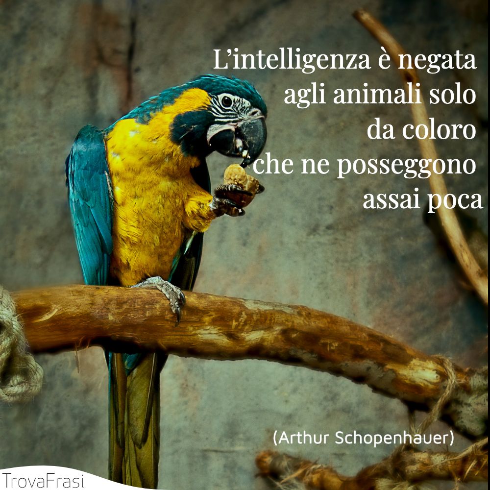 Frasi sugli animali e il rispetto della loro vita - TrovaFrasi