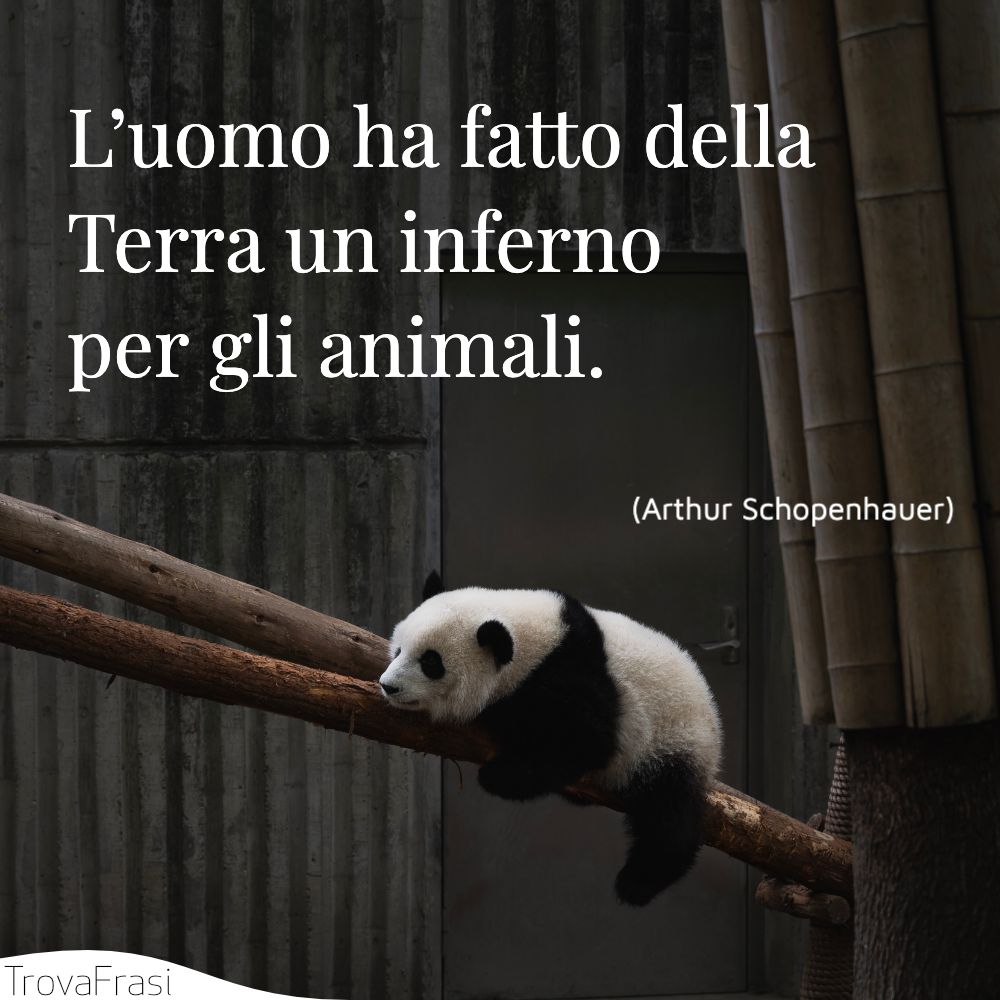 Frasi Sugli Animali E Il Rispetto Della Loro Vita Trovafrasi