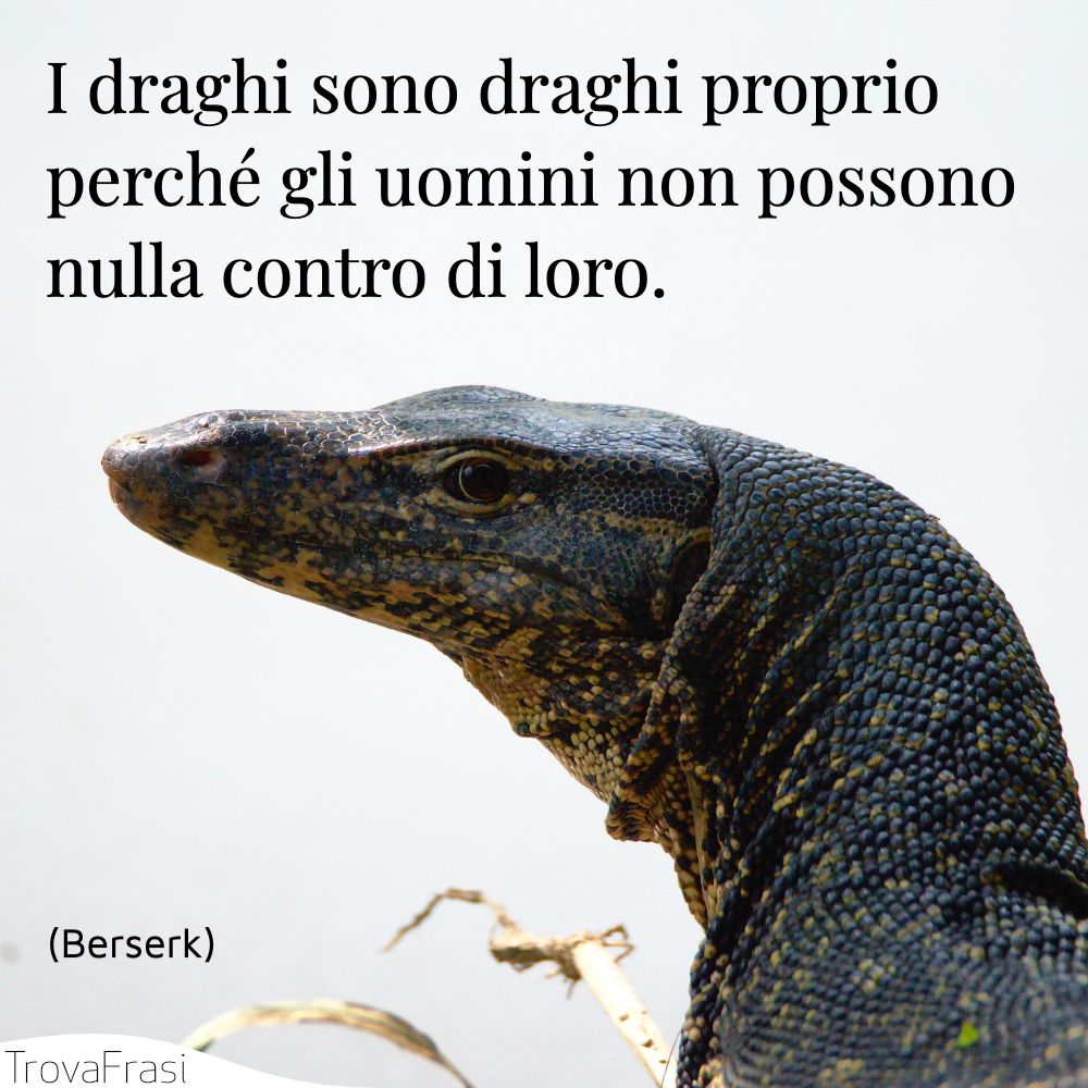 I draghi sono draghi proprio perché gli uomini non possono nulla contro di loro.