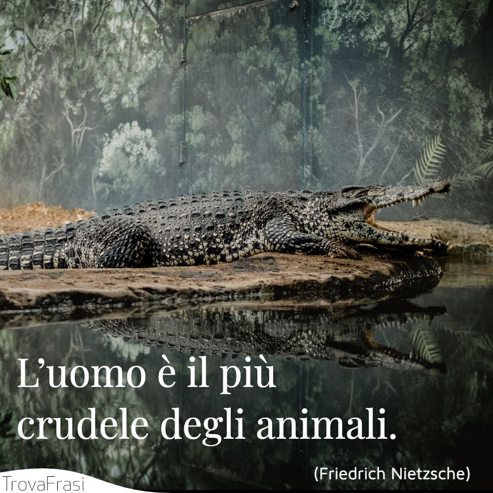 L’uomo è il più crudele degli animali.