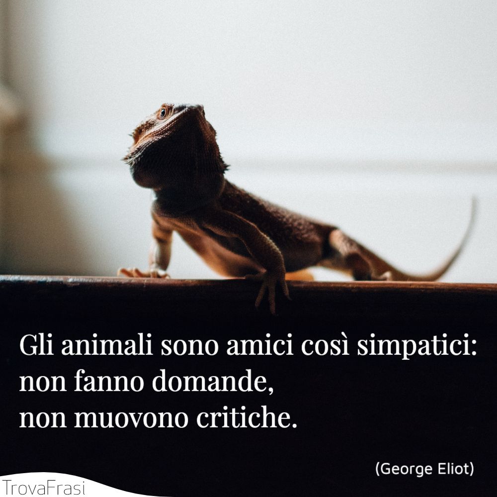 Gli animali sono amici così simpatici: non fanno domande, non muovono critiche.