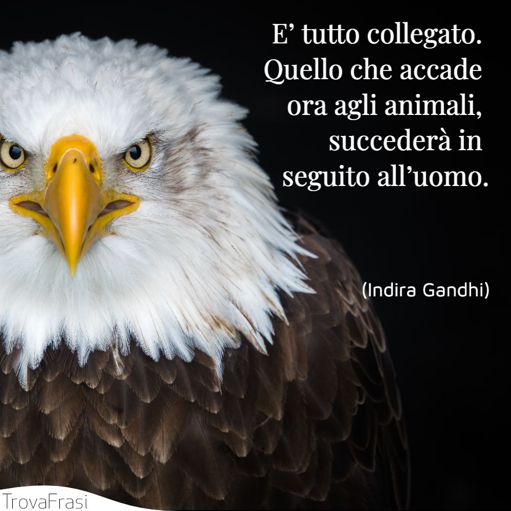 Frasi sugli animali e il rispetto della loro vita - TrovaFrasi