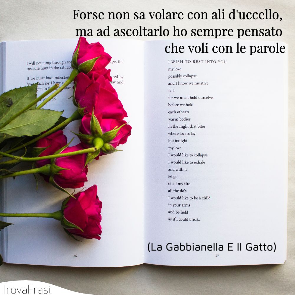 Forse non sa volare con ali d'uccello, ma ad ascoltarlo ho sempre pensato che voli con le parole